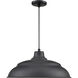 R Series 1 Light 20 inch Satin Black Indoor Pendant Ceiling Light